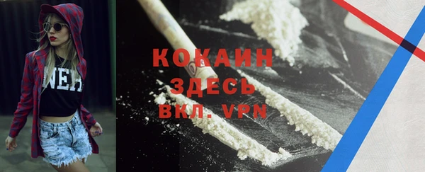 гидра Белоозёрский