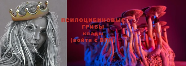 гидра Белоозёрский