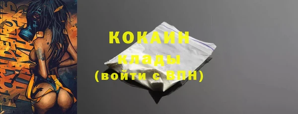 гидра Белоозёрский