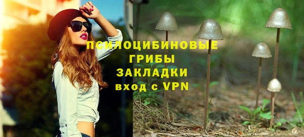 гидра Белоозёрский