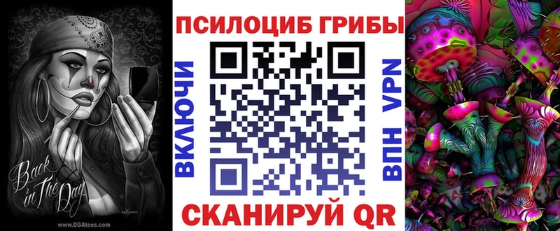 Псилоцибиновые грибы Psilocybe  Корсаков 