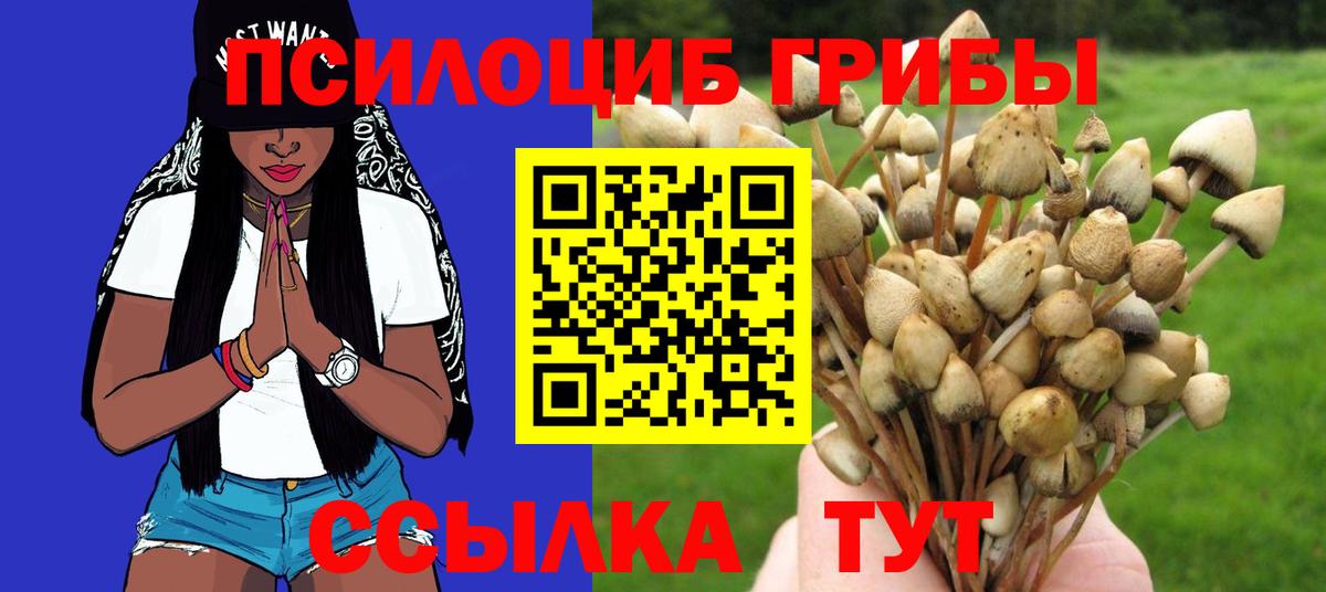 Псилоцибиновые грибы ЛСД Корсаков