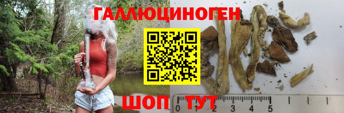 Корсаков  наркошоп  Вход с VPN  Псилоцибиновые грибы прущие грибы 
